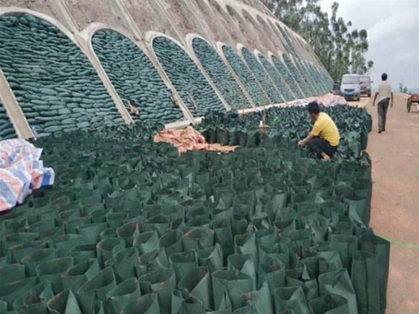 生态袋施工